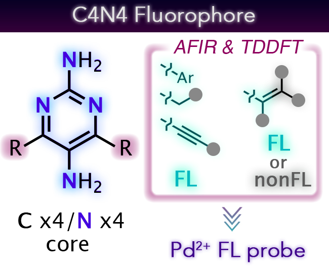C4N4 fluorophore features